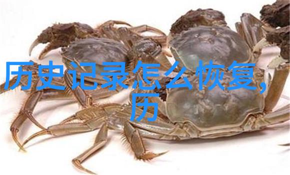探索人生智慧面对一些特别有深度的问题我们的思考与行动