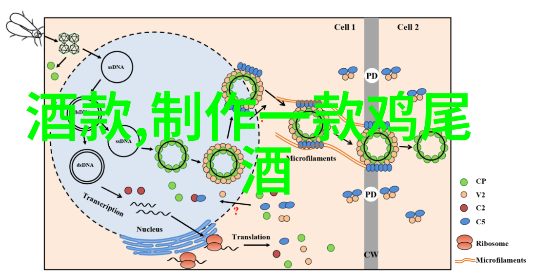 红酒文化网我是如何在一瓶好酒中发现生活的美妙之处