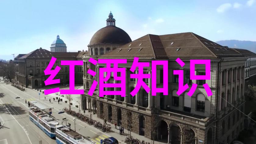 葡萄酒入门全攻略从酿造到品鉴学会让你也成为一名酒仙