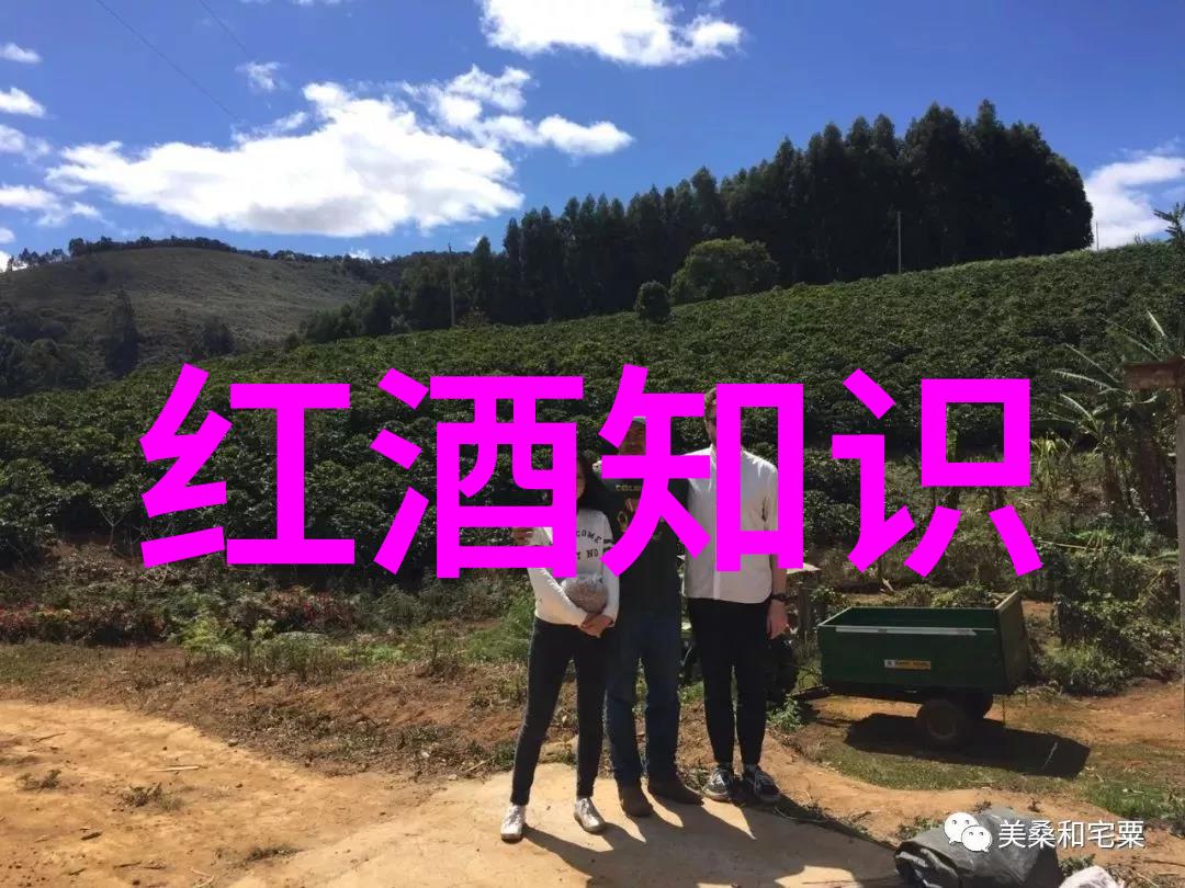 探索猫咪世界揭秘各种品种的迷人面孔与魅力