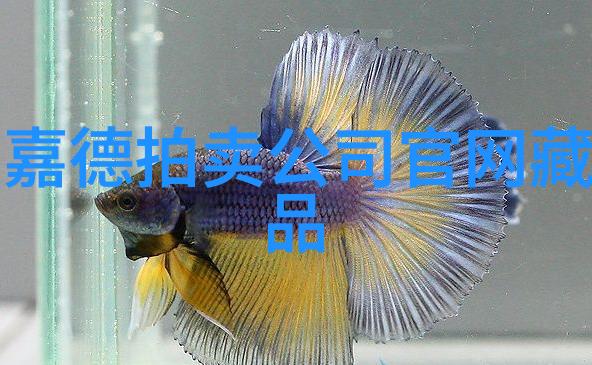 探索陕西粮食主产区走进黄土高原的农耕宝地