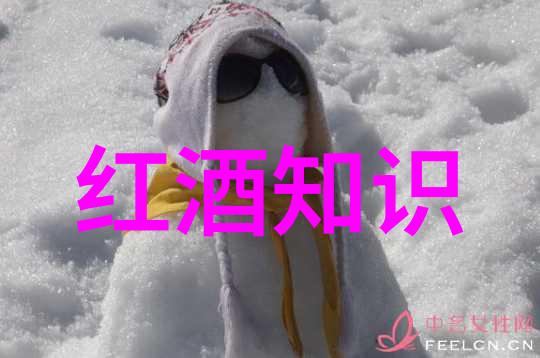 在VSattui纪念四年Tom C Davies沉迷于葡萄酒的旅程又是怎样的