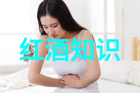 徐霞客游记-探索江南古迹徐霞客的旅程
