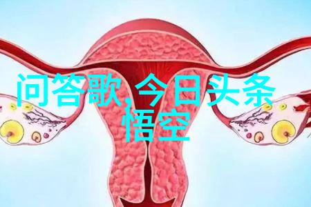 上海周边城市游推荐三日游美食新体验黑毛猪火腿与红酒的完美融合