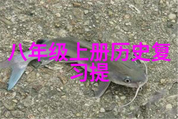 买回家后如何正确储存保鲜红酒