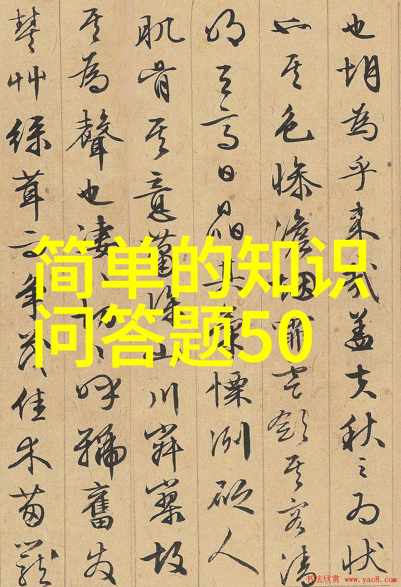 如饥似渴LA.VORACE-追逐欲望的无尽旋涡LA.VORACE与饕餮生活的边界