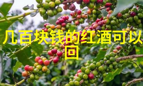 育儿知识问答从孕期到学步的全方位指南