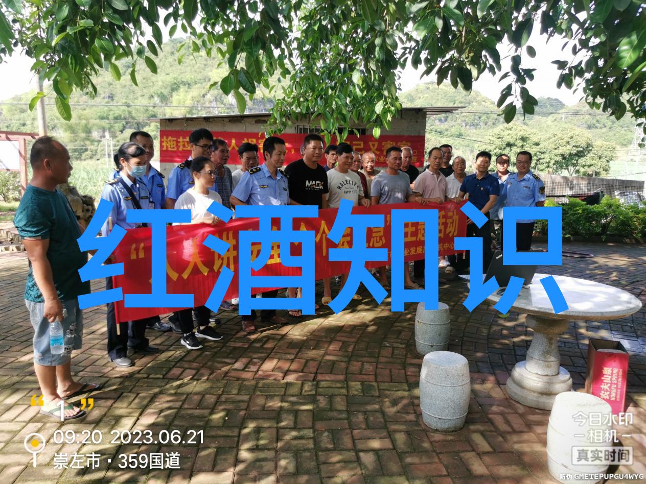 玉米之谜揭秘这颗黄金粮食的千姿百态