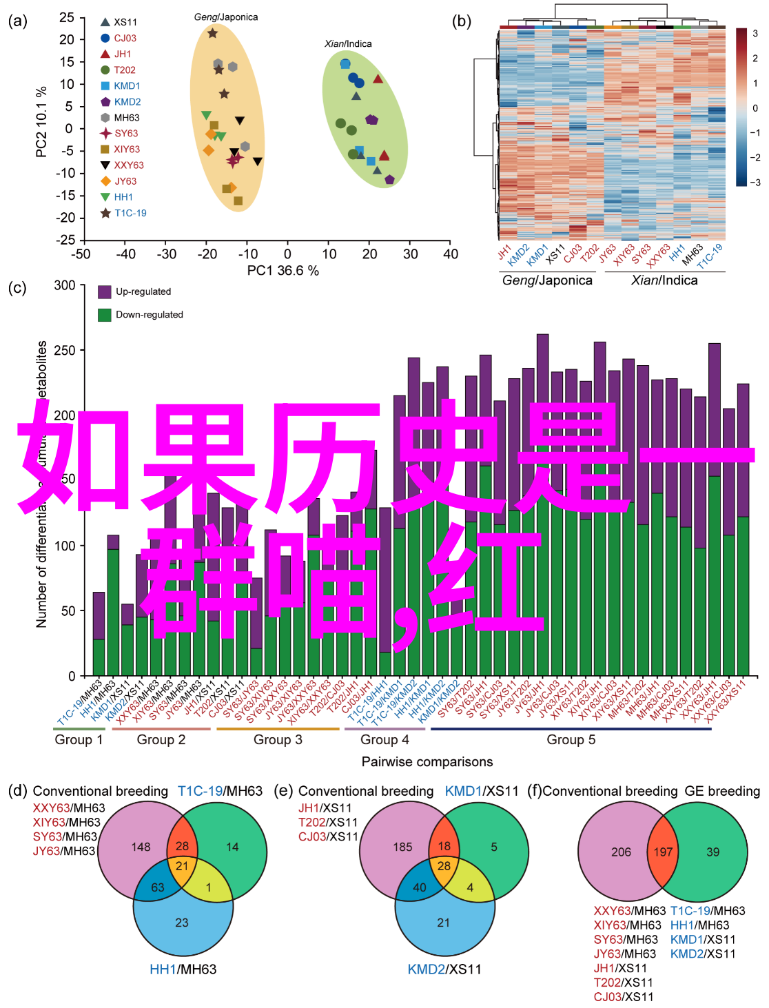 高清图片素材免费人物 我的生活照用这些照片你也能拍出心动瞬间