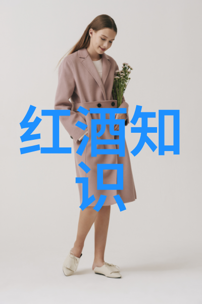 探索历史的本质从唯物主义角度解读历史发展