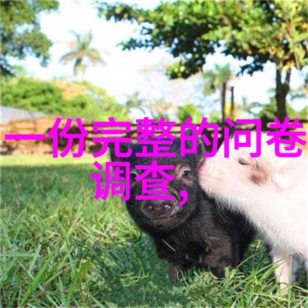 中国英雄谱江山社稷的守护者