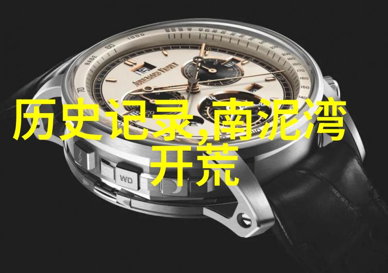 醉心葡萄酒品味中国佳酿探索国产优质葡萄酒的文化魅力