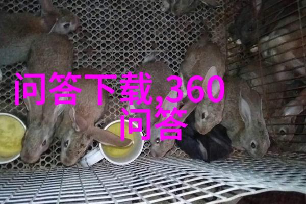 独家解密揭开那些隐藏在影片下的稀有宠物猫秘密
