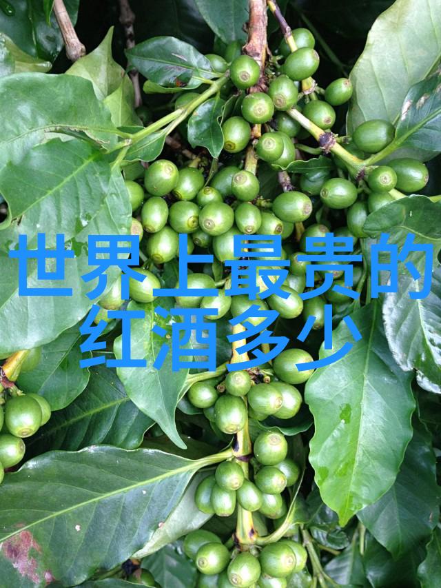 北京庄园董事长的安索梅酒庄品味非凡如同天上星辰一般璀璨夺目