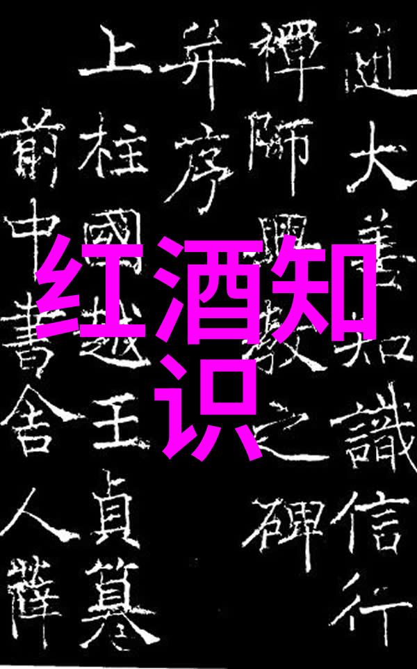初学者在酿造葡萄酒的世界里