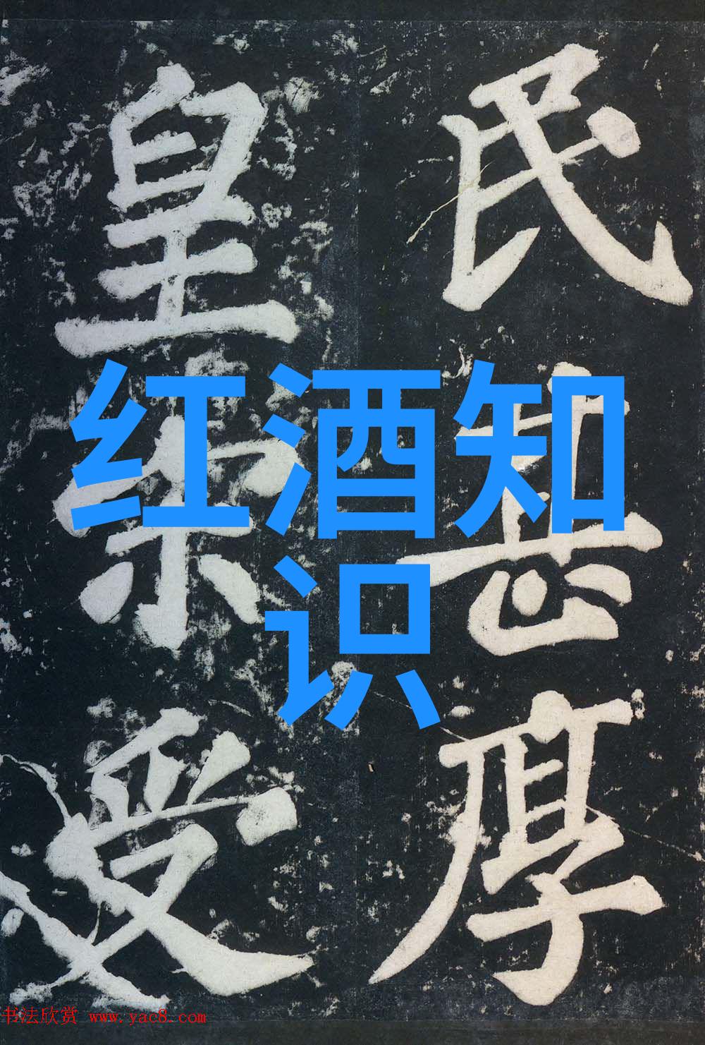 莫利塞产区指数基金的隐秘价值之地