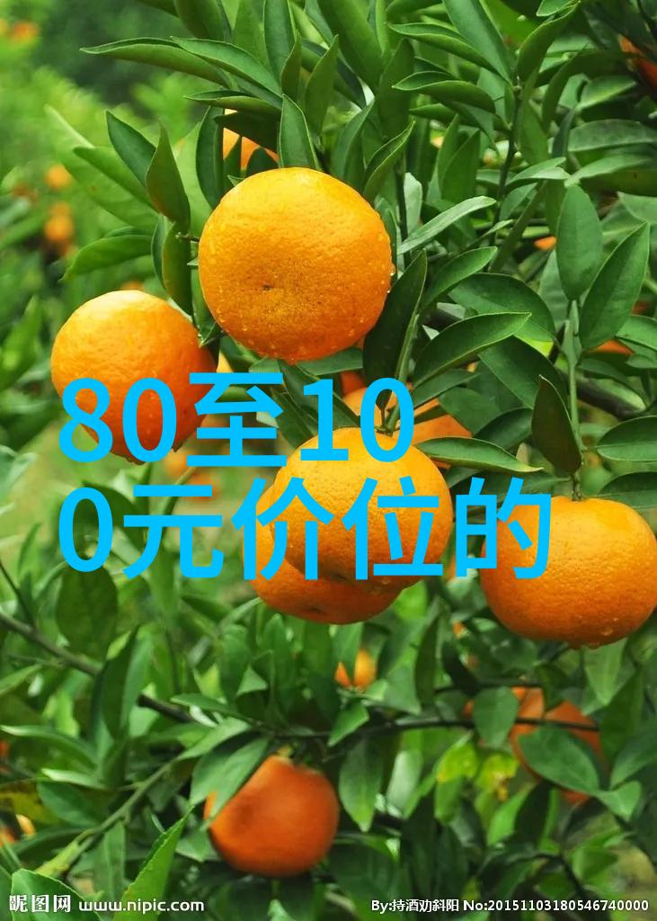 揭秘北京豪宅圈庄园开发商老板背后的故事
