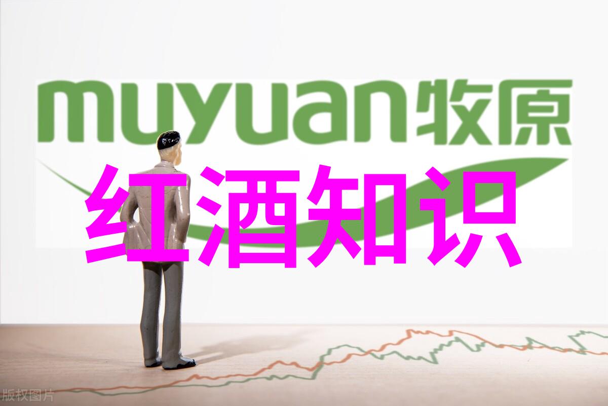 第一个商业航班从纽约到巴黎起飞