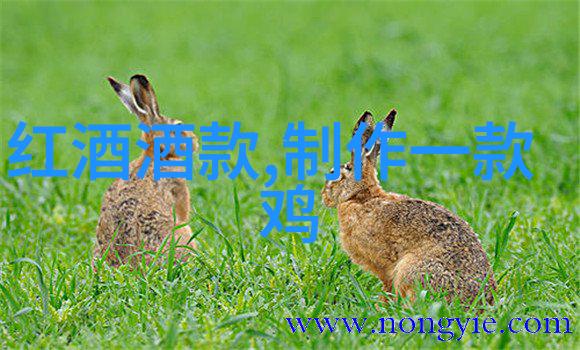 十月一南京周边哪里好玩 - 秋意浓时周边探秘十月一日在南京的不可错过之旅