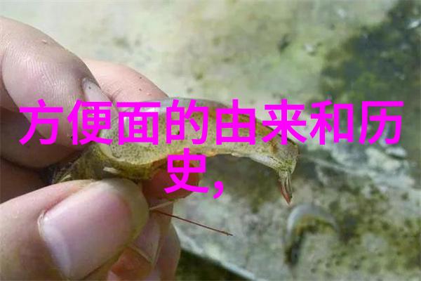 农村烧柴火酿酒设备能否打造出传统与现代的完美结合