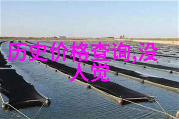 素描的诗意探索简单人物画的魅力