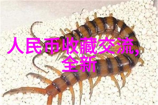 中学历史教学园地筑牢青春记忆的知识城堡