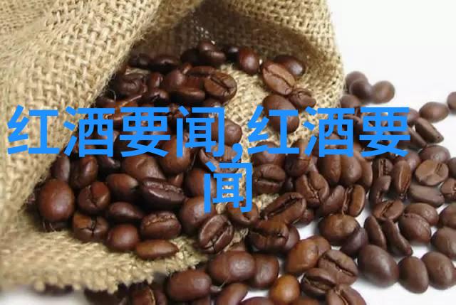 中学生历史探索园地回望与展望的交汇