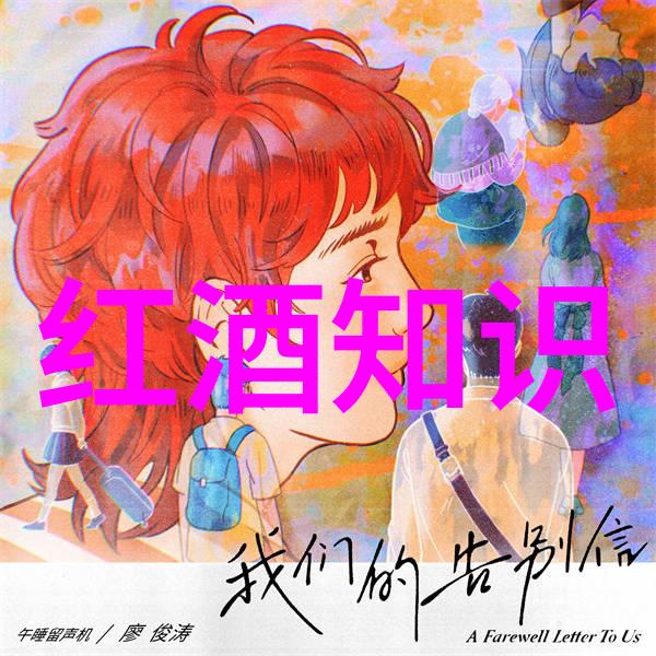 2017赤霞珠干红葡萄酒750ml品味澳洲佳酿的典范
