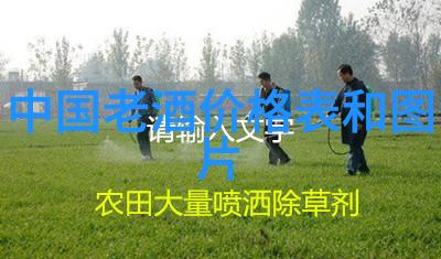 动漫人物简笔画中的意酒专家品鉴宝娜Bolla如何用现代科技赋能传统风格在华崛起并重建市场与渠道
