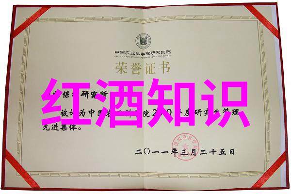 勇攀高峰陈伟志跨越障碍成就梦想