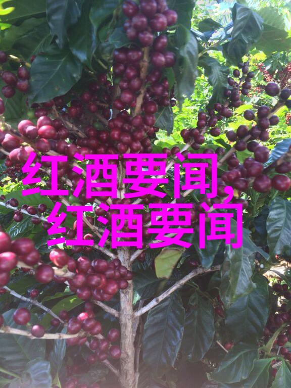 托宾詹姆斯酒庄中国买一套庄园多少钱