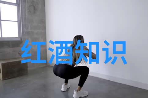探索人类记忆之窗通过收集来理解过去和未来