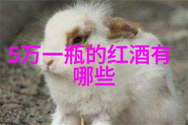 在酿酒师和葡萄之间哪一个更为关键周边商城的选择也许能提供答案