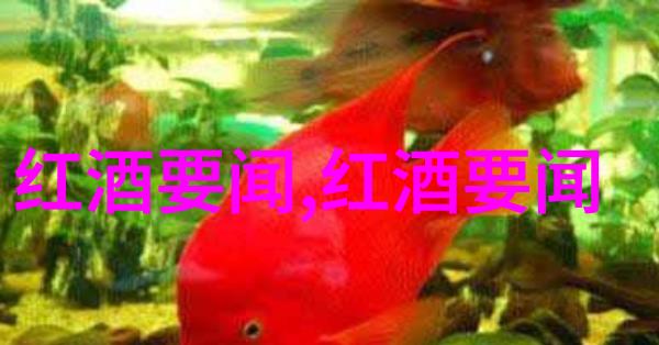家庭中的新成员选择适合您生活方式的猫咪品种