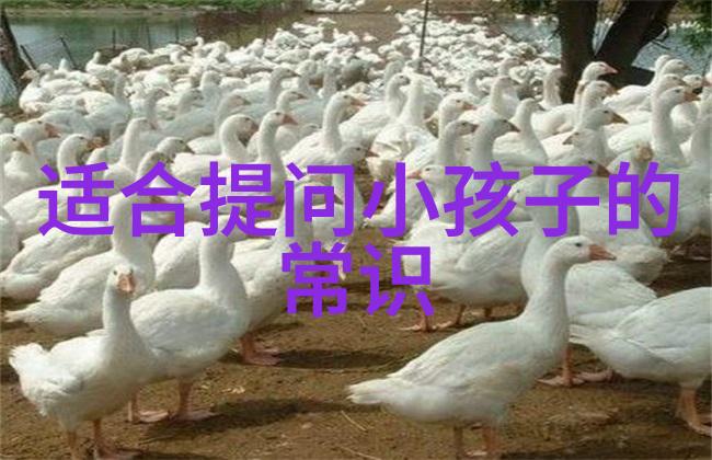 如同Peljaac半岛那般蜿蜒的土地纹理玉米品种也绽放着丰富多样的花朵