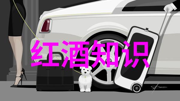 华夏钱币收藏网登录古钱币现代币银元金币的数字化管理系统