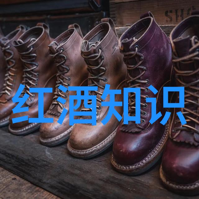 花语美妙绚烂玫瑰的名字与形象故事