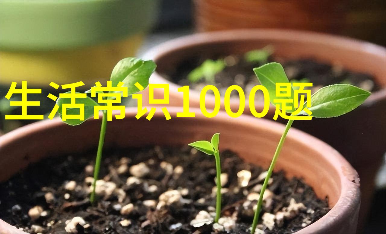 立体死人一幅生动的艺术叙事