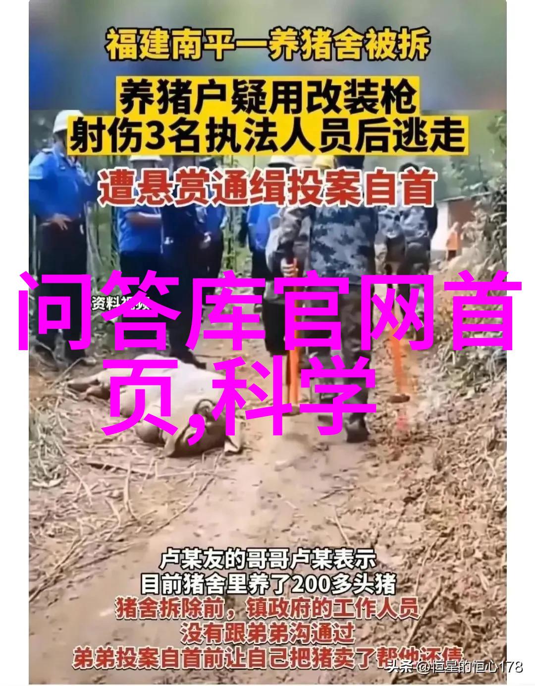 我要告诉你猫咪的品种有哪些看这些超萌图片就知道了