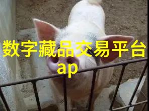 富尔泰酒庄在农场经营游戏中成为一名人物的故事