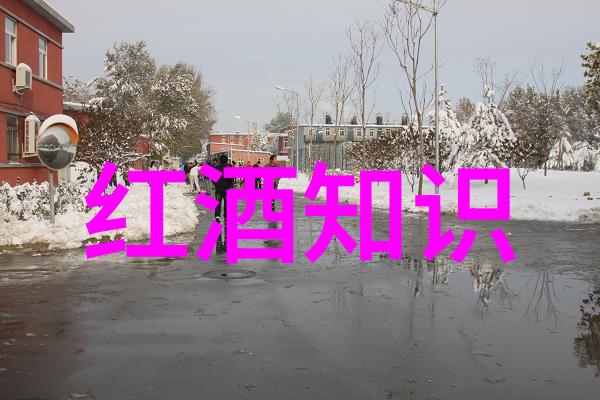 城市逃离体验上海周边民宿的自然之美