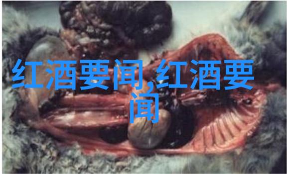 苏格兰deerhound