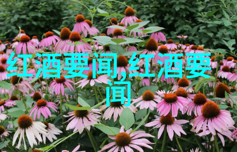 穿越时空的巨匠36位历史名人的传奇足迹