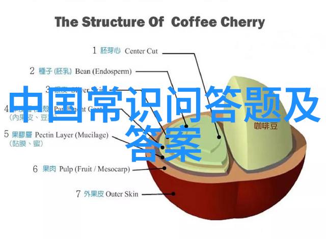 玉米科学选育如何开发新的高产优质玉米品种