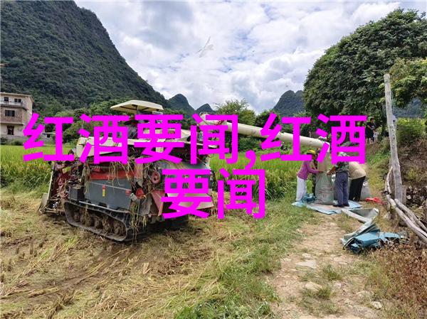 追忆旧时光品尝葡萄酒老产区的传奇故事