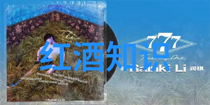 酒文化在当今社会的意义探索酒类饮品对现代生活的影响与价值