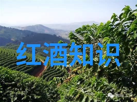 轻盈笔触动漫角色之魅力