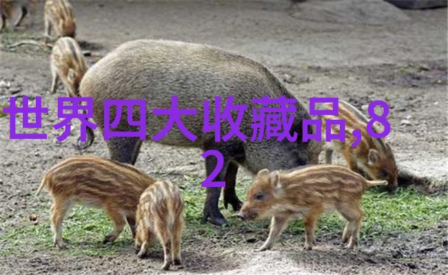 学画人物简单又漂亮 - 从基础到精髓的绘画学习之旅