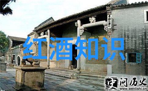 法国葡萄酒的文化艺术 - 醉心于香槟与巴尔萨米克探索法国葡萄酒艺术的精髓