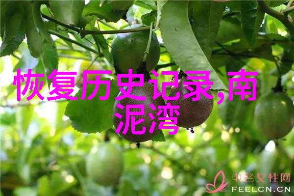 玫瑰园里应该如何选择和组合不同的品種来提升美观性和多样性